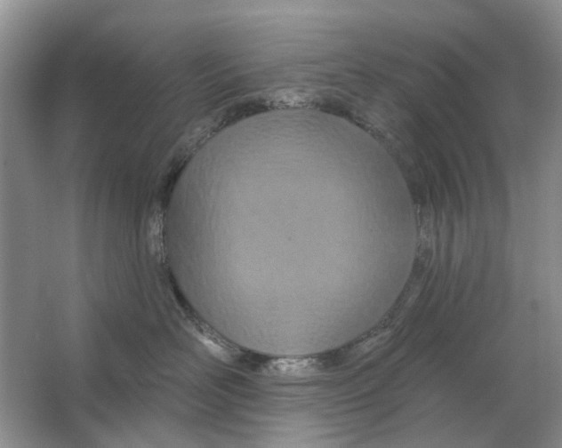 X0000063510526200602172150