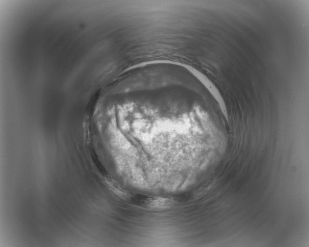 X0000063510527200602172150