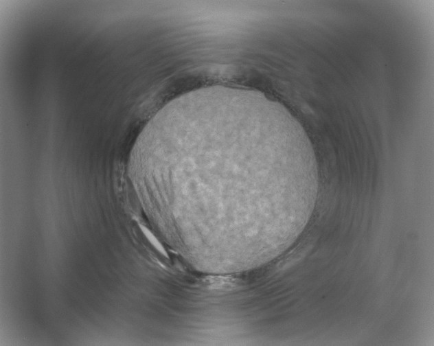 X0000063510528200602172150