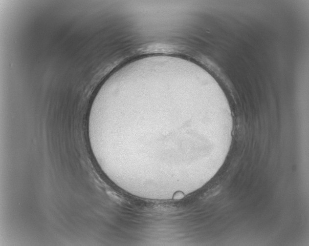 X0000063510529200602172149