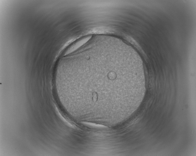 X0000063510530200602172149