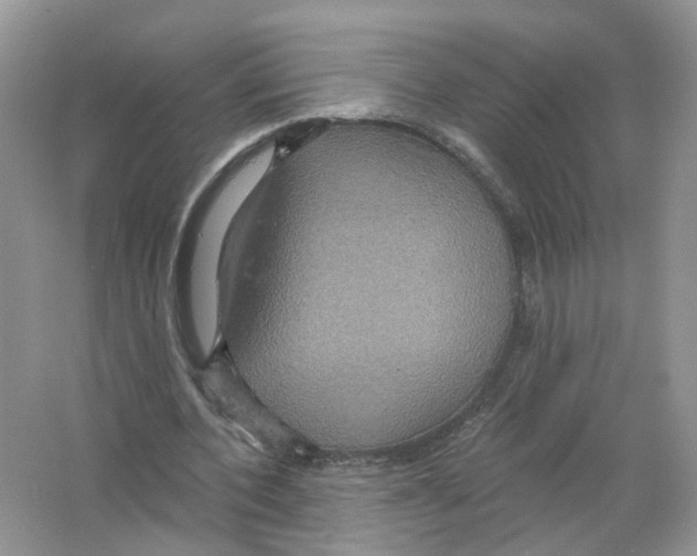 X0000063510532200602172149