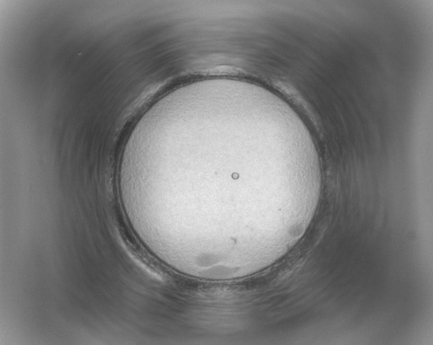 X0000063510533200602172149