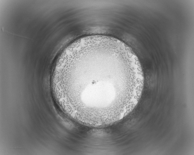 X0000063510534200602172149