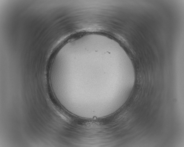 X0000063510535200602172149