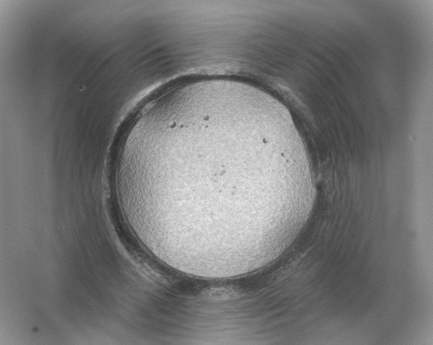 X0000063510536200602172149