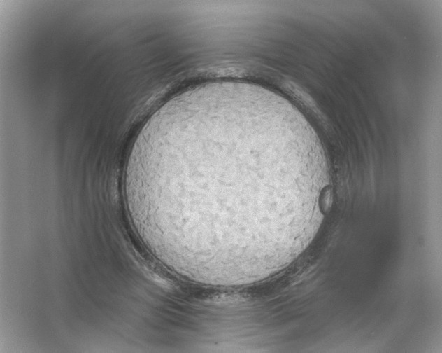 X0000063510537200602172149