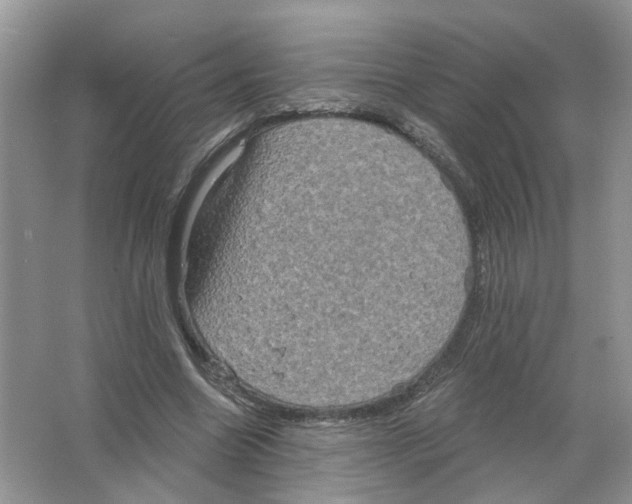 X0000063510538200602172149