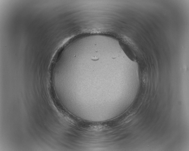 X0000063510540200602172149