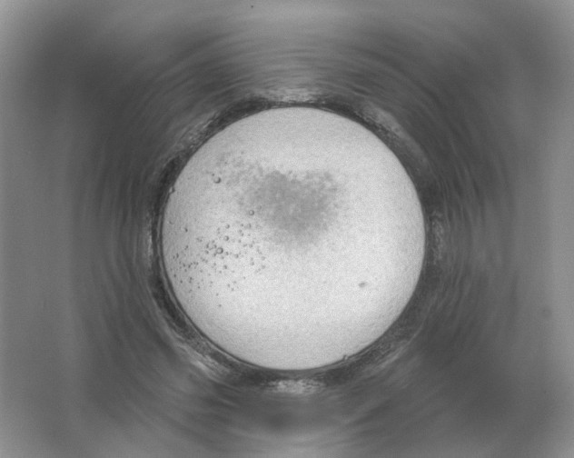 X0000063510541200602172149