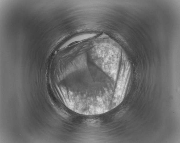 X0000063510542200602172149