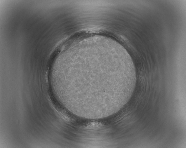 X0000063510543200602172149