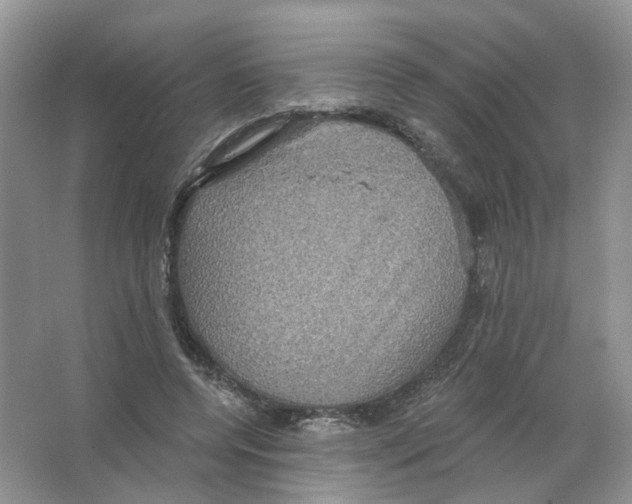 X0000063510544200602172149