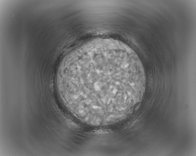 X0000063510545200602172149