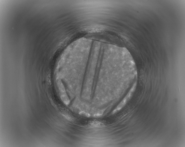 X0000063510547200602172149