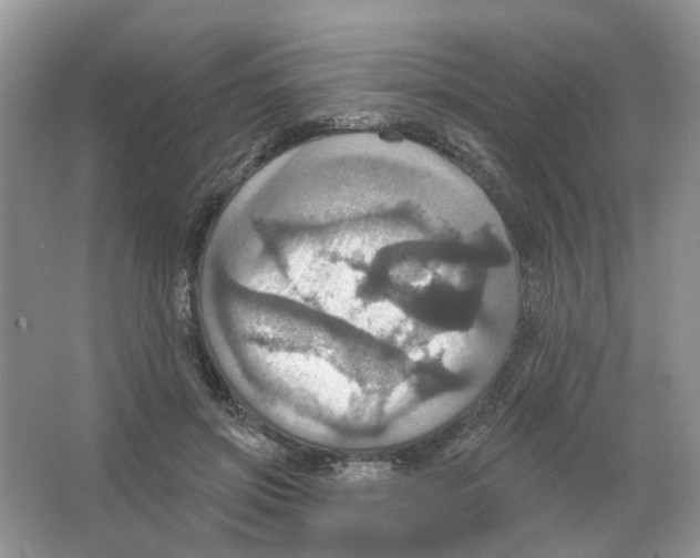 X0000063510549200602172149