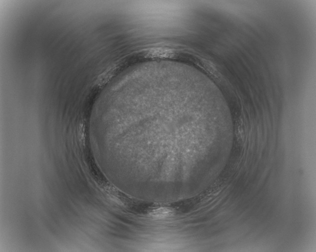 X0000063510551200602172149