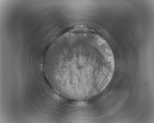 X0000063510553200602172149