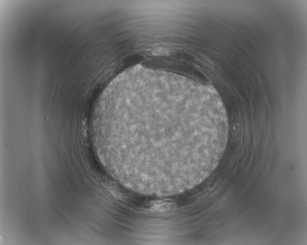 X0000063510555200602172149