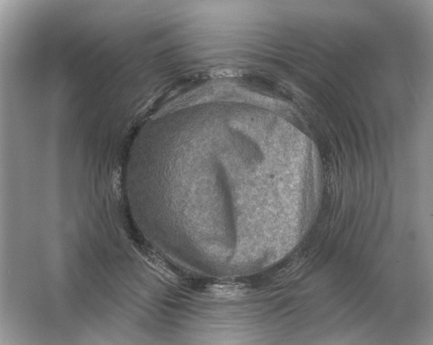 X0000063510556200602172149