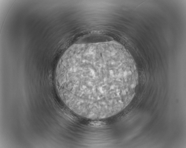 X0000063510557200602172149