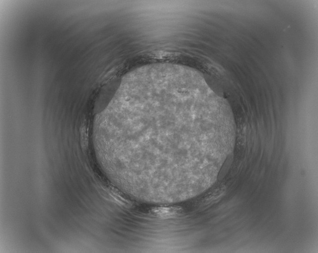 X0000063510558200602172149