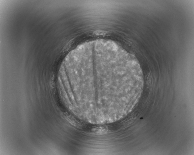 X0000063510559200602172149