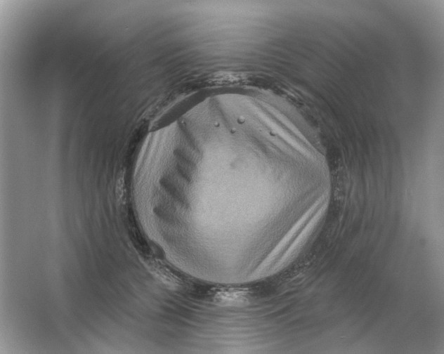 X0000063510560200602172149