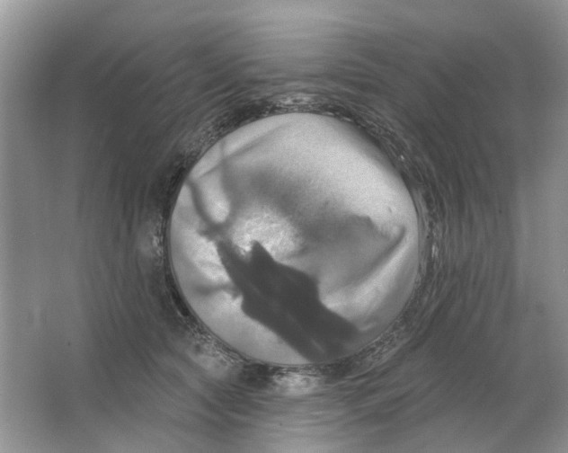 X0000063510561200602172149