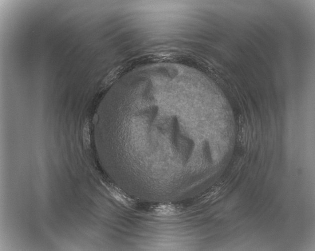 X0000063510562200602172149