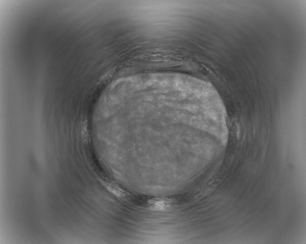 X0000063510564200602172149