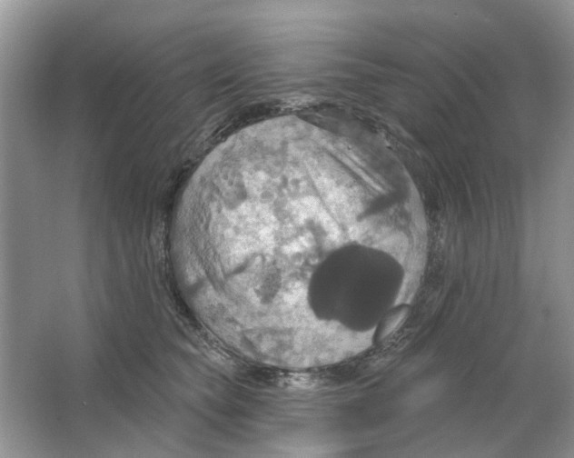 X0000063510565200602172149