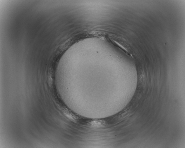 X0000063510566200602172149