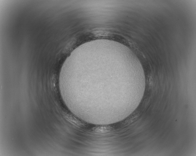 X0000063510567200602172149