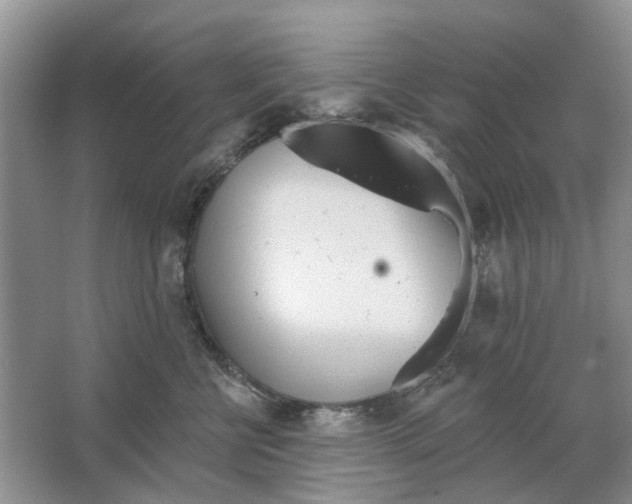 X0000063510570200602172149