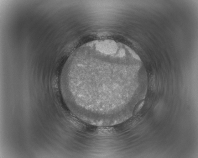 X0000063510571200602172150