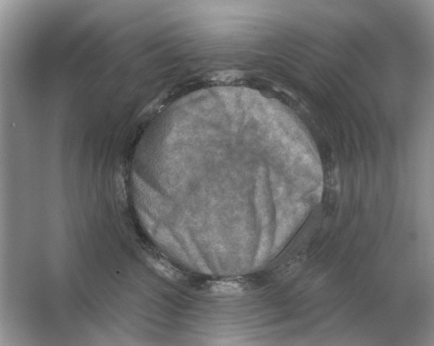 X0000063510572200602172150