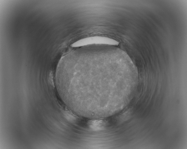 X0000063510575200602172150