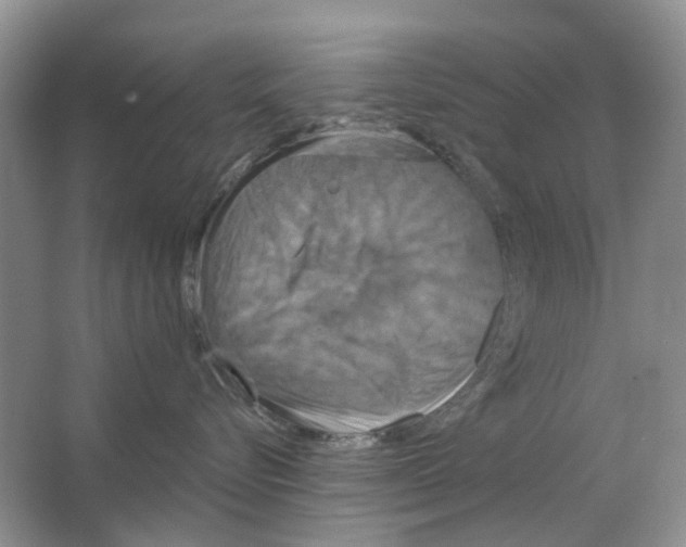 X0000063510576200602172150