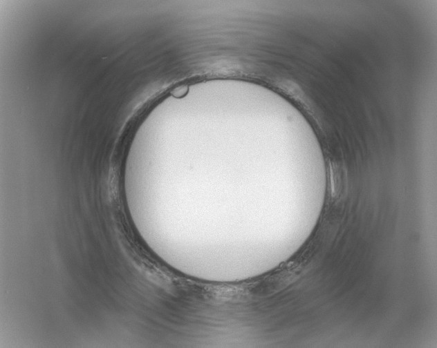 X0000063510579200602172149