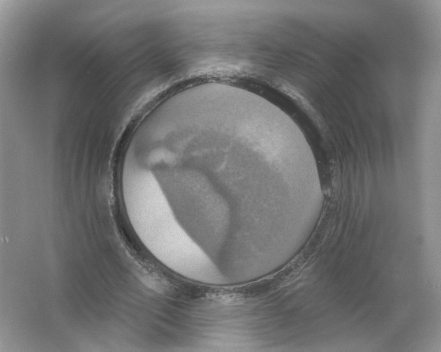 X0000063510582200602172149