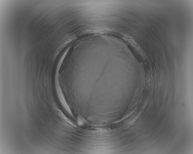 X0000063510585200602172149