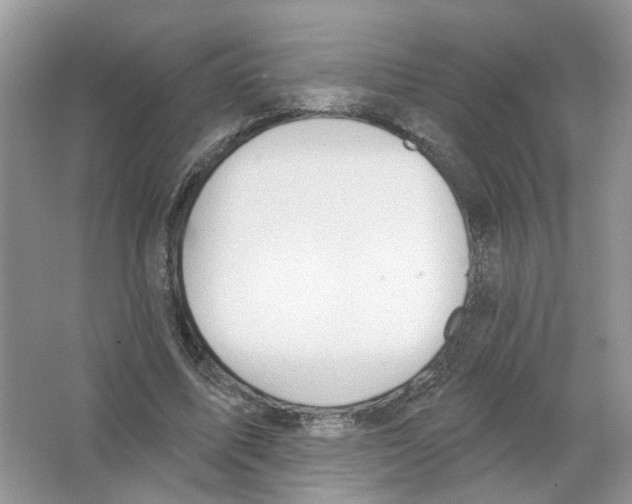 X0000063510587200602172149