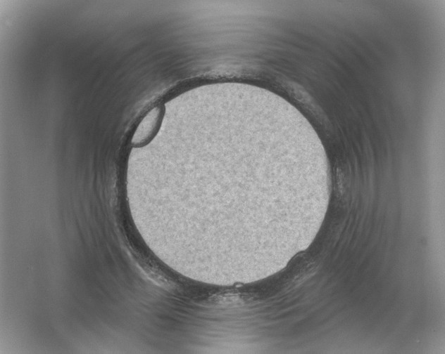 X0000063510588200602172149