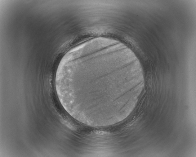 X0000063510590200602172148