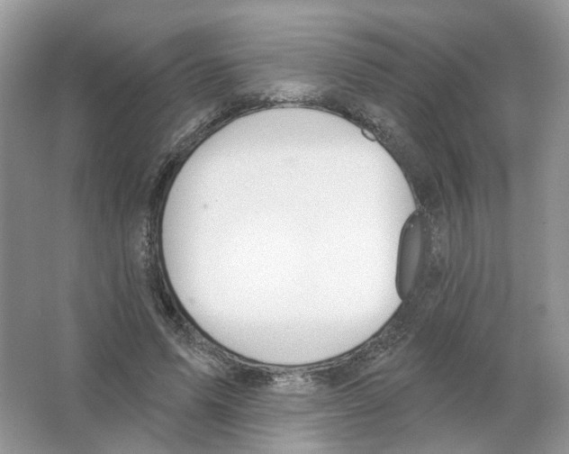 X0000063510591200602172148