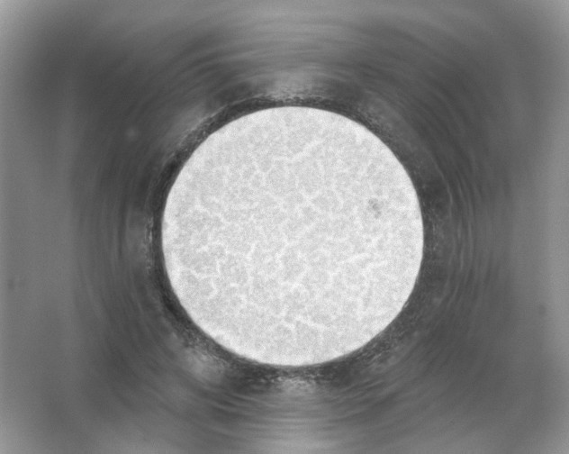 X0000063510592200602172148