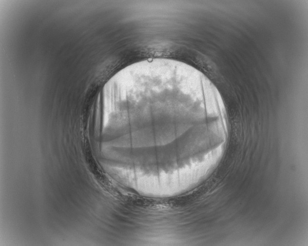 X0000063510594200602172148