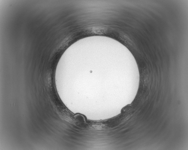 X0000063510595200602172148