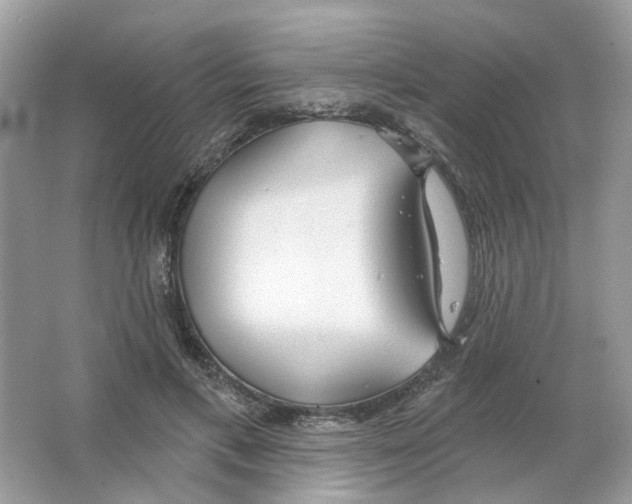 X0000063510597200602172148